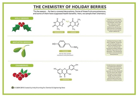 The Chemistry Of Holiday Berries