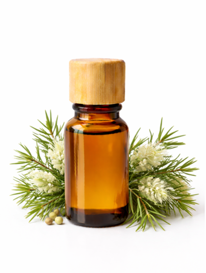 etericna-ulja/CAJEVAC_1